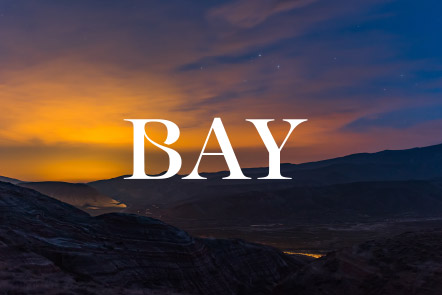 Alua Capital’s  Town Hall Webinar –  June 2020